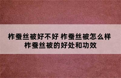 柞蚕丝被好不好 柞蚕丝被怎么样 柞蚕丝被的好处和功效